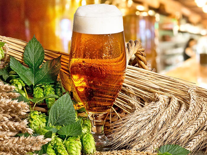 Bier brauen beim JGA