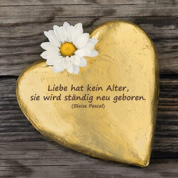 Sprüche zur Goldenen Hochzeit | Zitate | Gedichte | Bibelverse