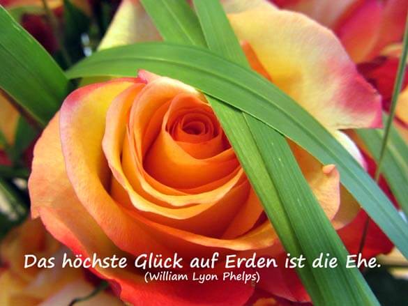 Liebessprüche - Das höchste Glück auf Erden ist die Ehe.