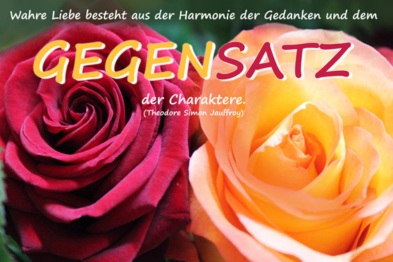 Wahre Liebe besteht aus der Harmonie der Gedanken