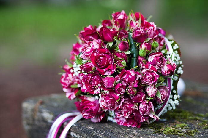 Brautstrauß Harlekin Rosen - Bildergalerie Hochzeitsportal24