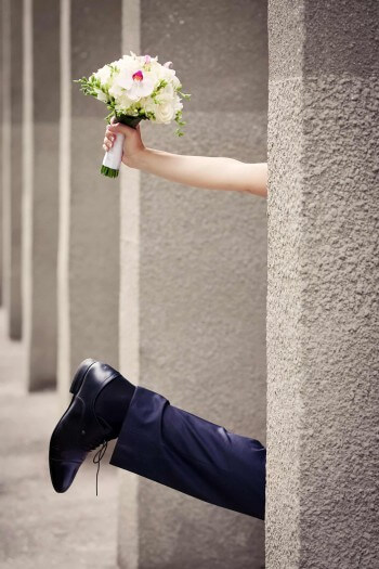 lustige affen hochzeit