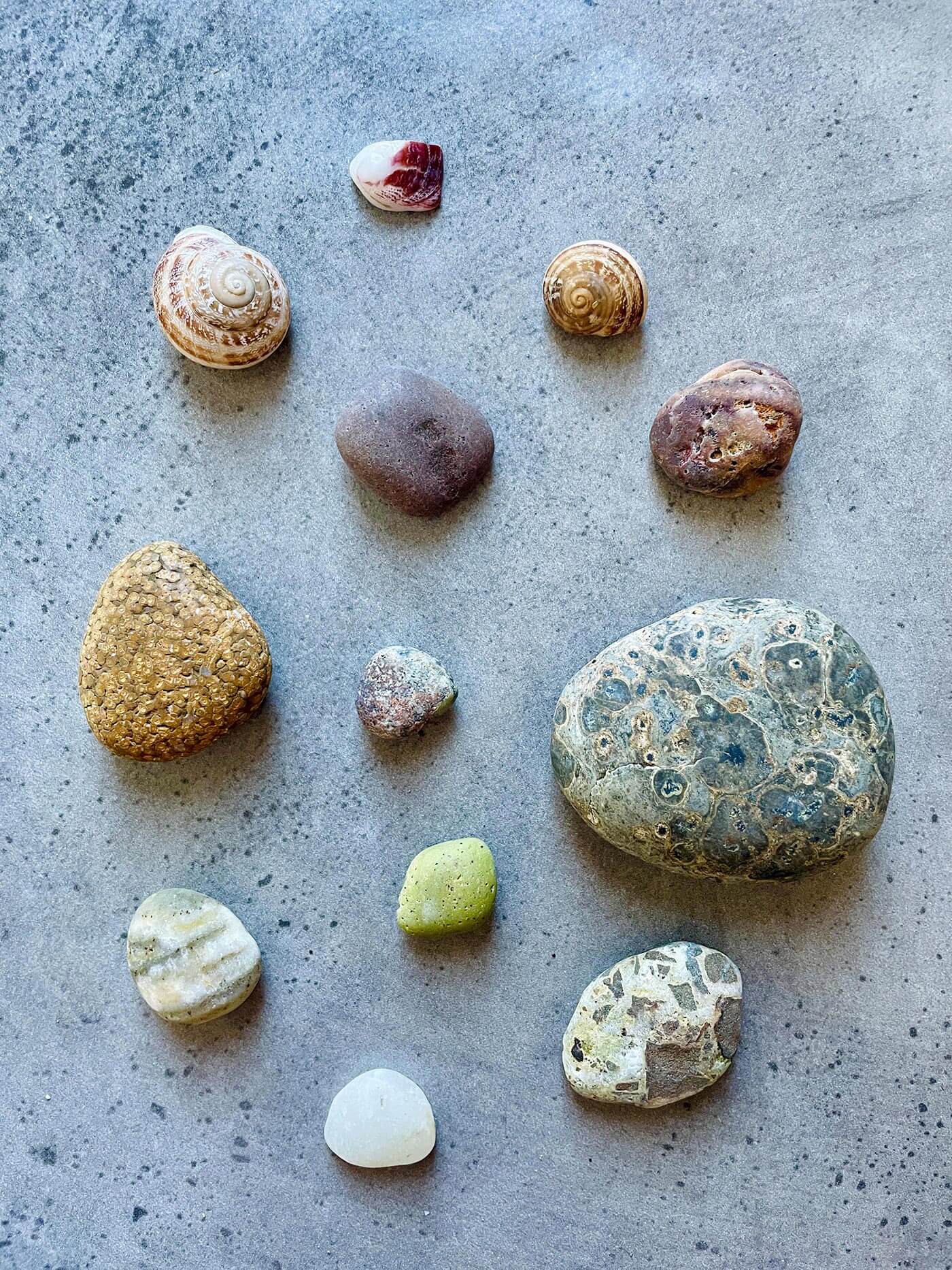 Muscheln Steine Zypern