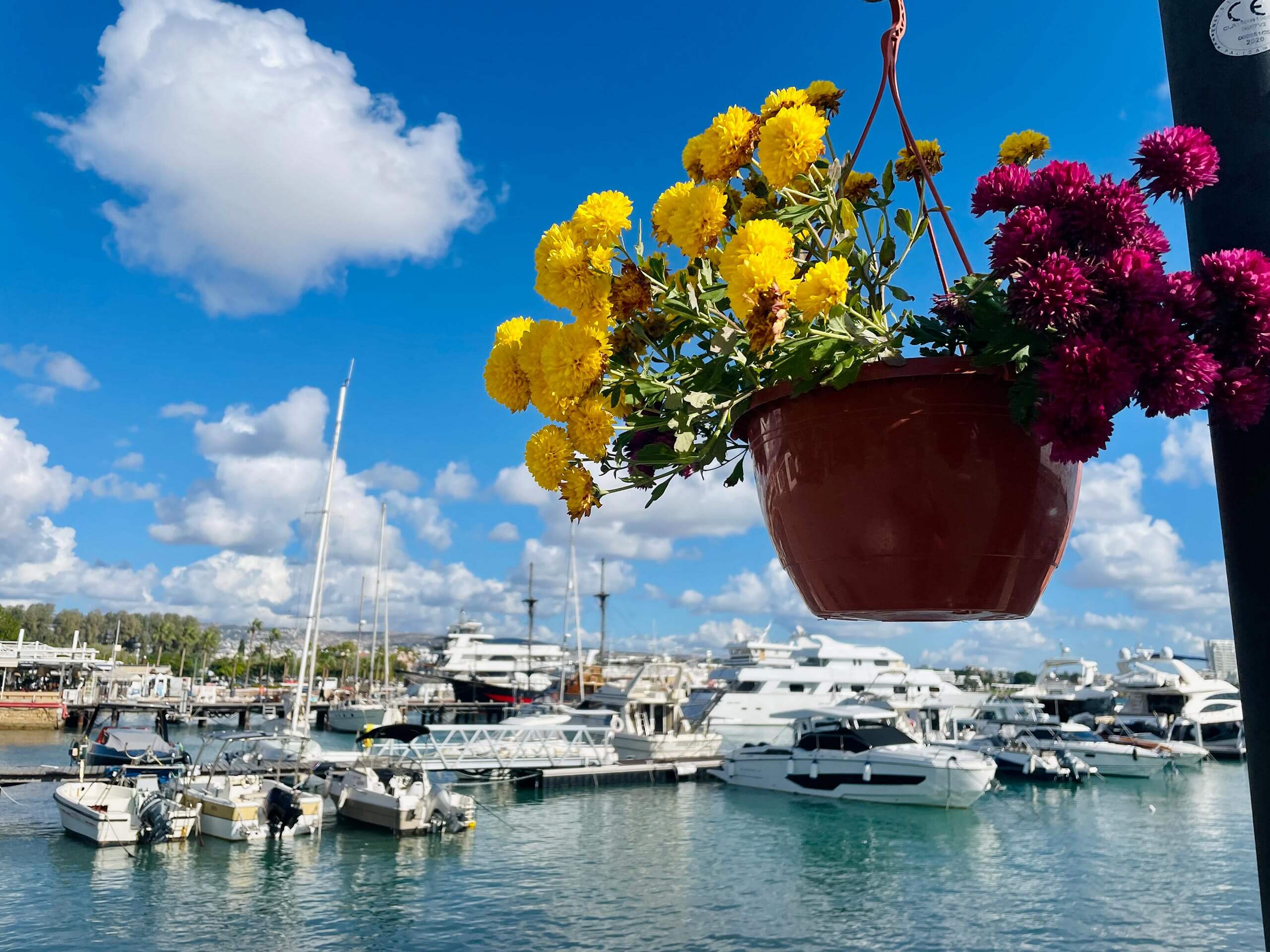 Paphos Hafen Zypern Erfahrung
