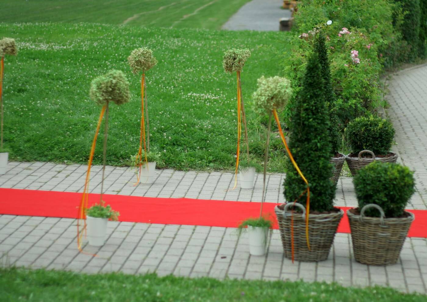 Trauung im Freien roter Teppich