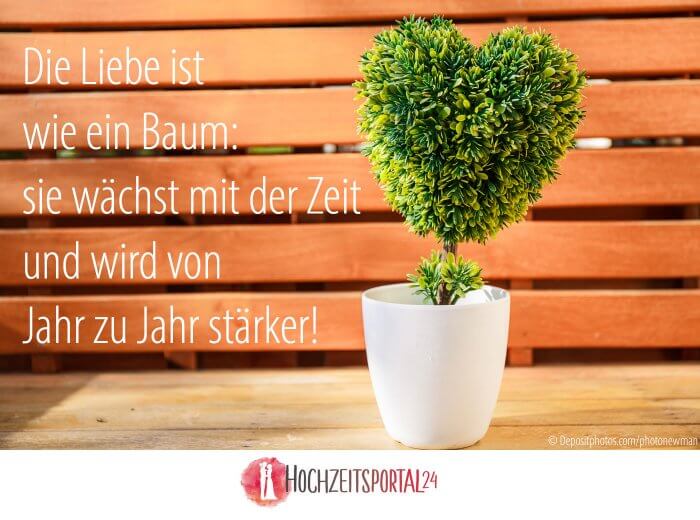 Hochzeitsbaum pflanzen Ein schöner Brauch für nachhaltige Freude