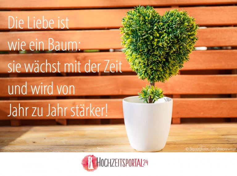 Hochzeitsbaum pflanzen Ein schöner Brauch für nachhaltige Freude