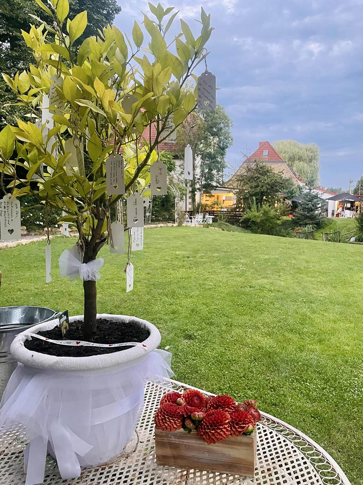 Hochzeitsbaum pflanzen Ein schöner Brauch für nachhaltige Freude