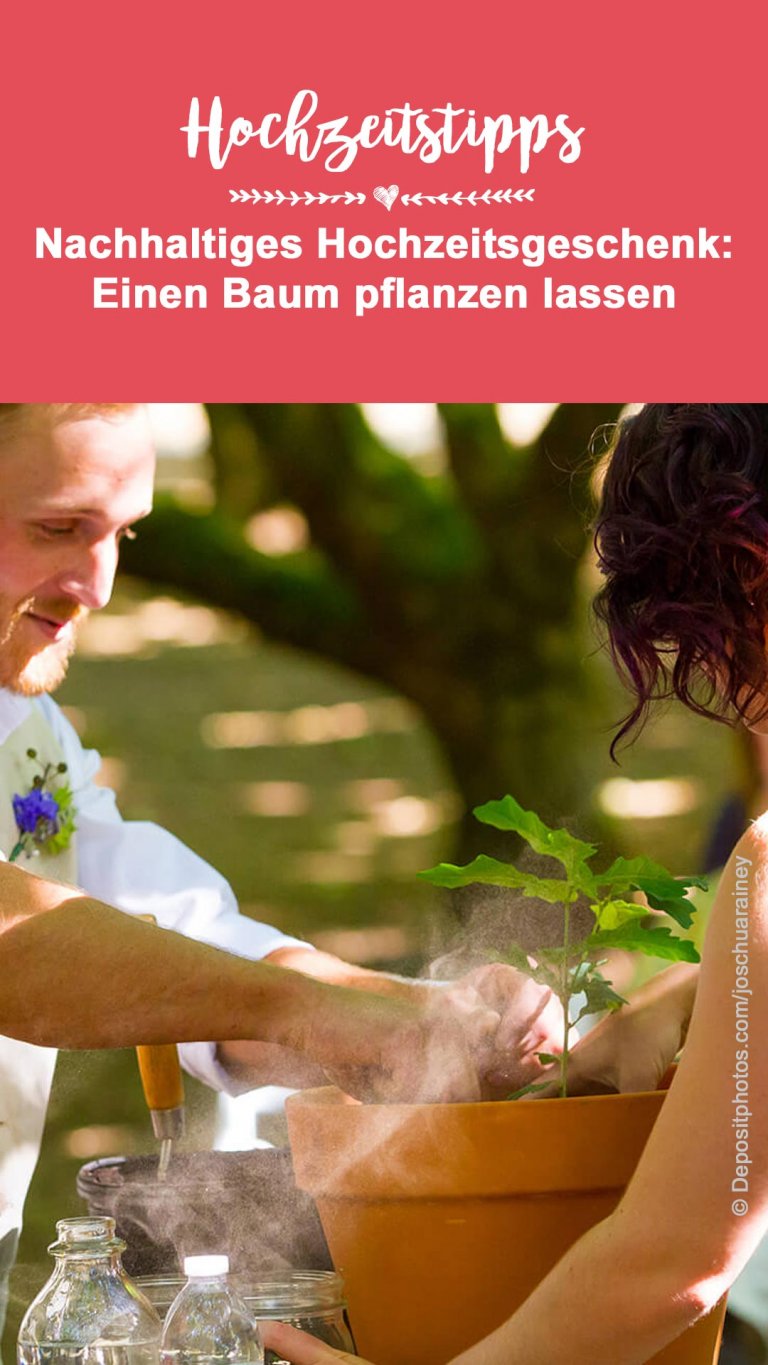 Hochzeitsbaum pflanzen Ein schöner Brauch für nachhaltige Freude