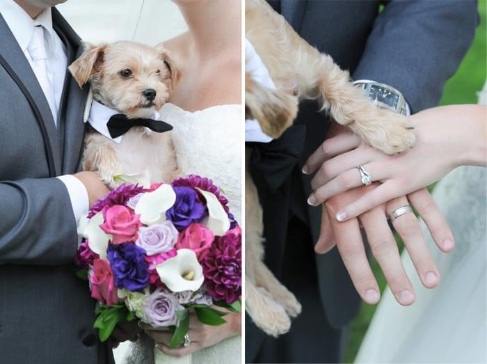 Hochzeitsfoto Hund