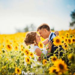Sonnenblume Hochzeit