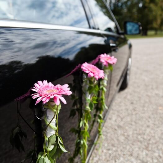 autoschmuck hochzeit modern autoschmuck modern gro 223 e bildergalerie autoschmuck hochzeit modern autoschmuck modern gro 223 e bildergalerie