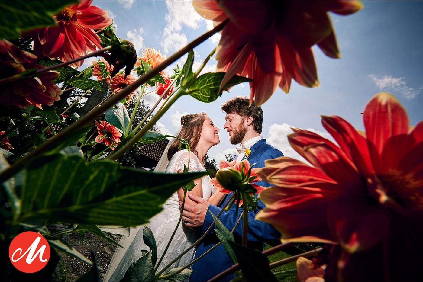 Beste Hochzeitsfotos