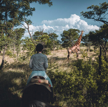 Reitsafari Südafrika