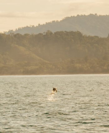 Costa Rica