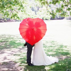 Requisite Fotos Hochzeit Schirm