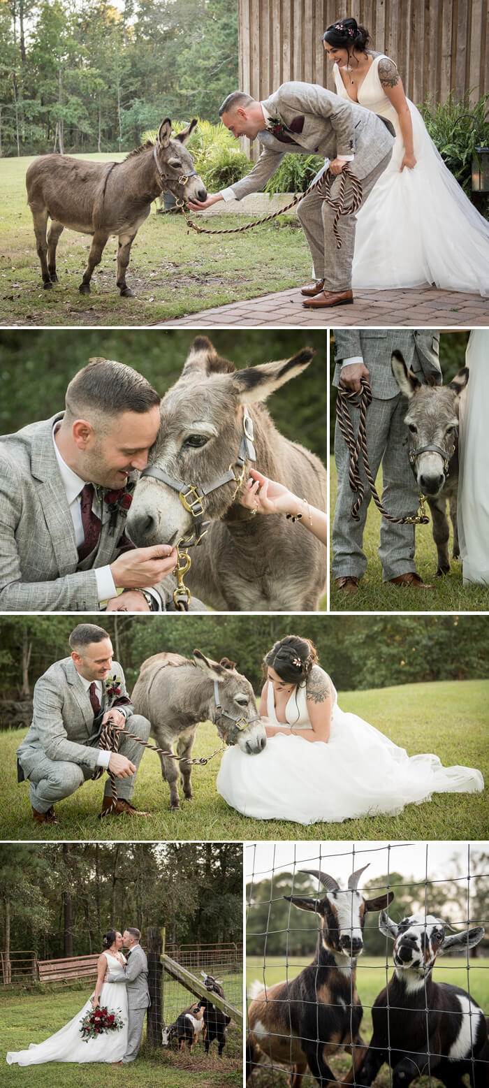 Heiraten Bauernhof