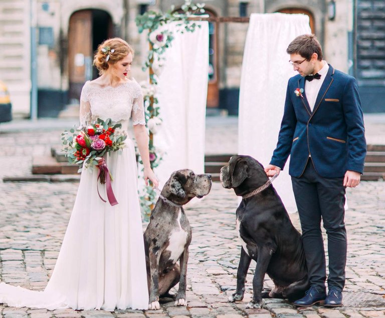 Hund zur Hochzeit Tipps & Ideen, euer Tier mit einzubeziehen