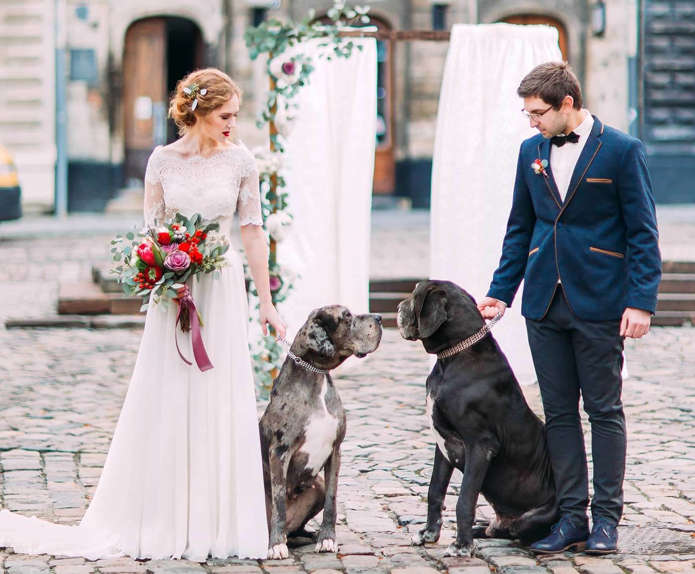 Heiraten zu Zweit mit Hund