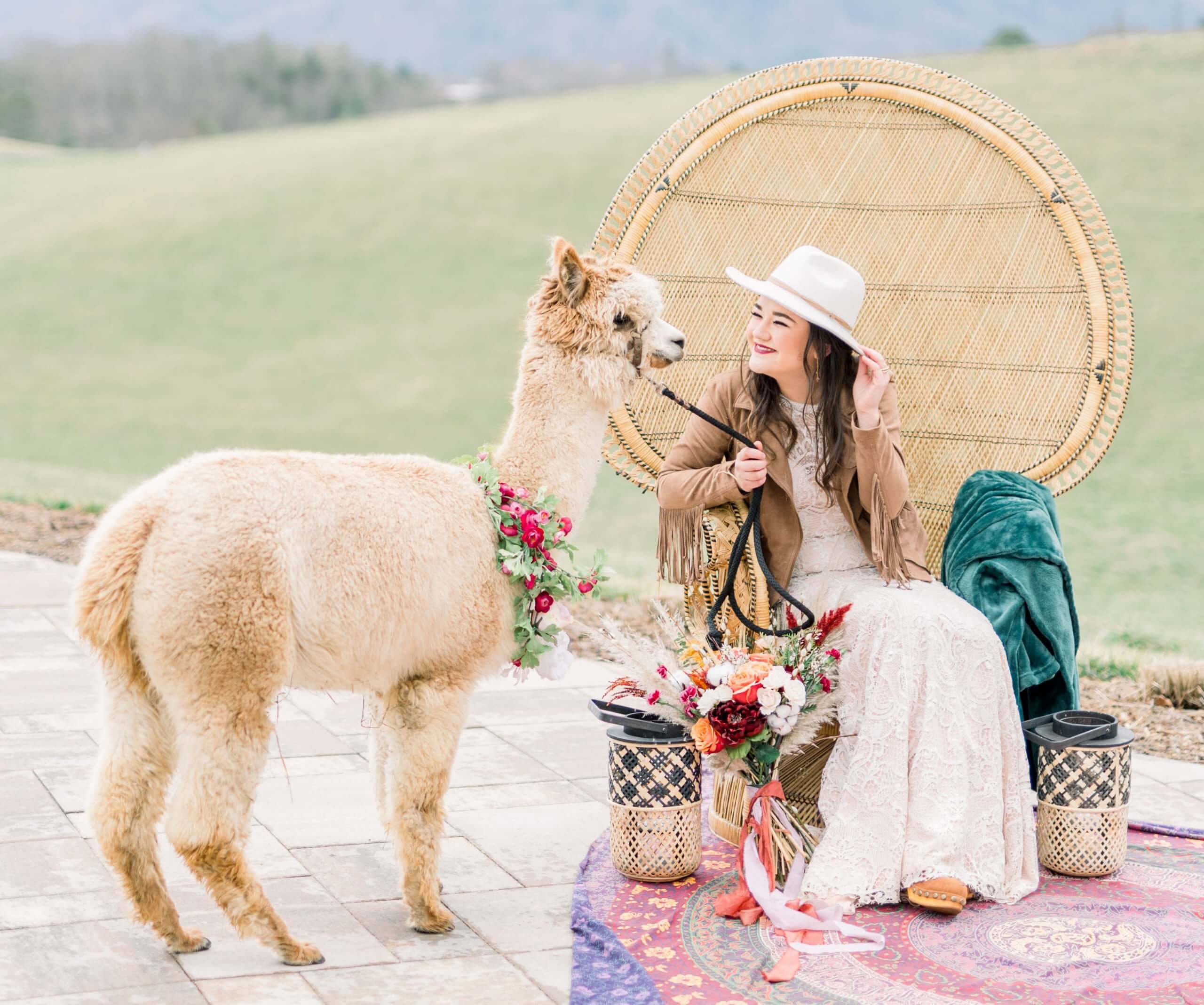 Hochzeit Alpaka