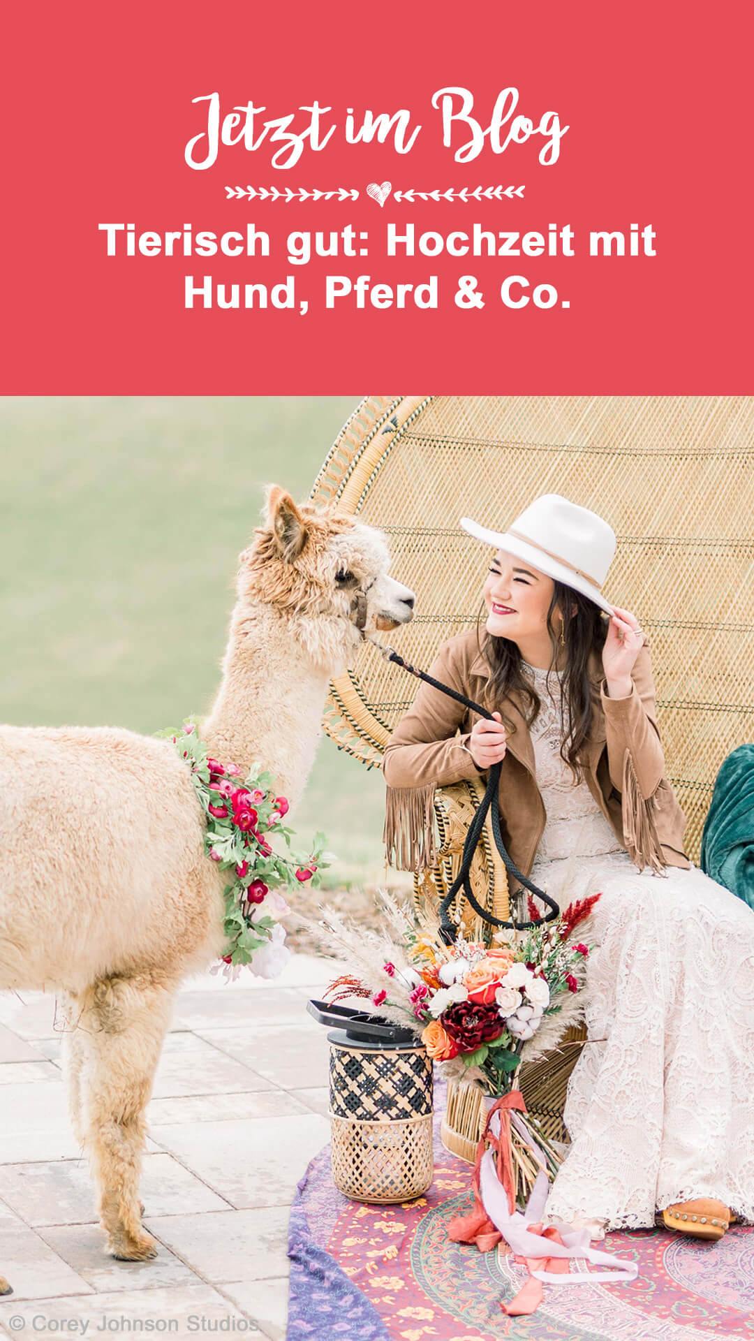 Hochzeit mit Hund Alpaka