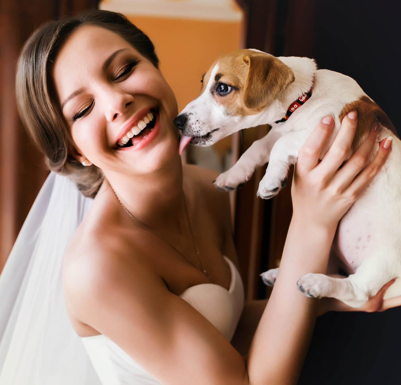 Hochzeit mit Hund