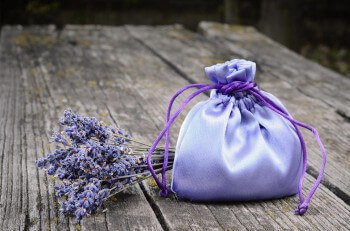 Gastgeschenk Lavendel