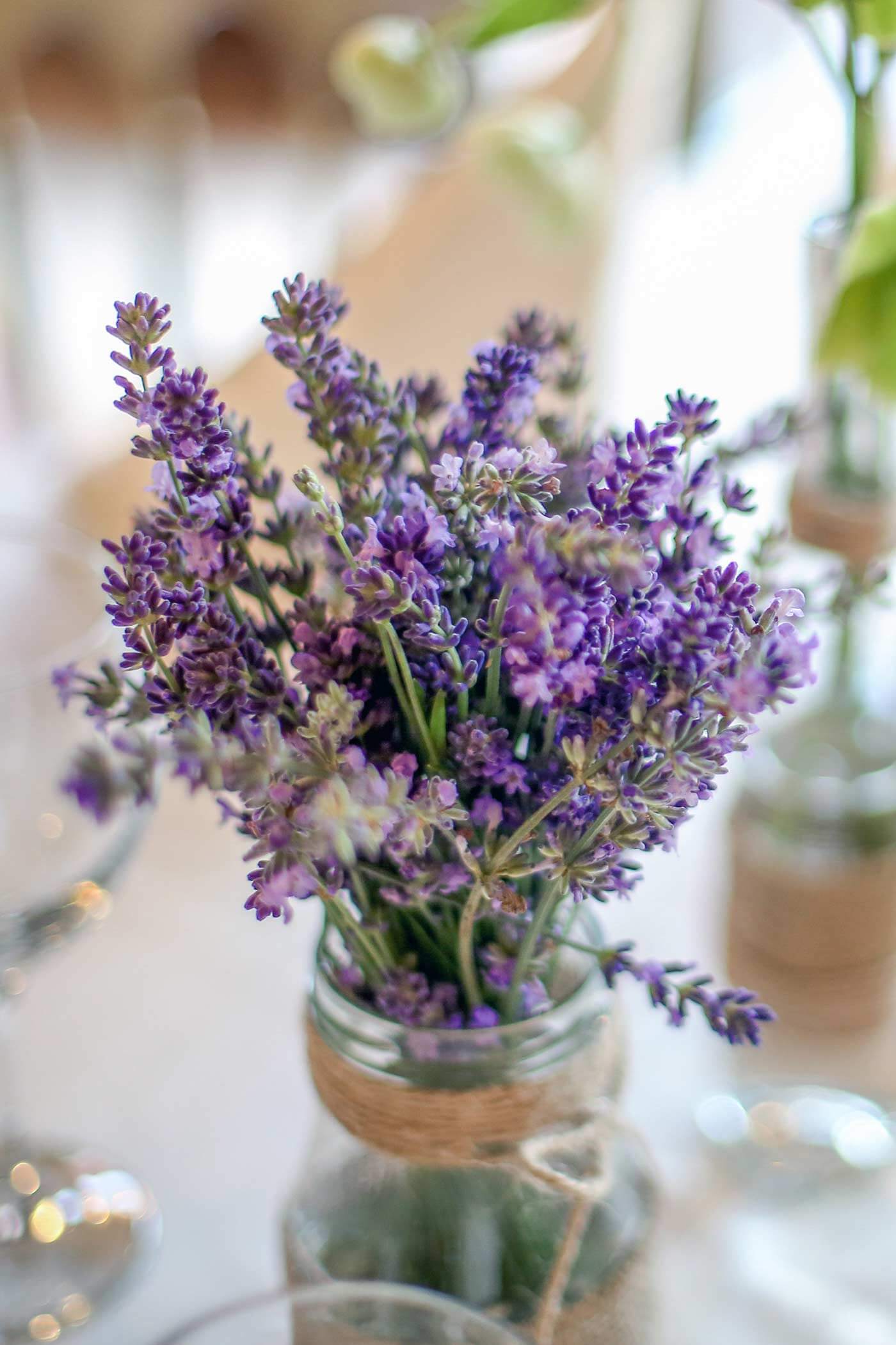 Hochzeitsdeko Lavendel | Schöne Deko Ideen für Tisch &amp; Co.