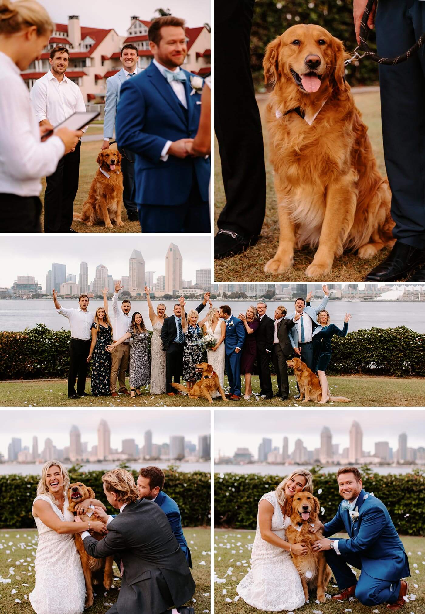 Hund Hochzeit Outfit