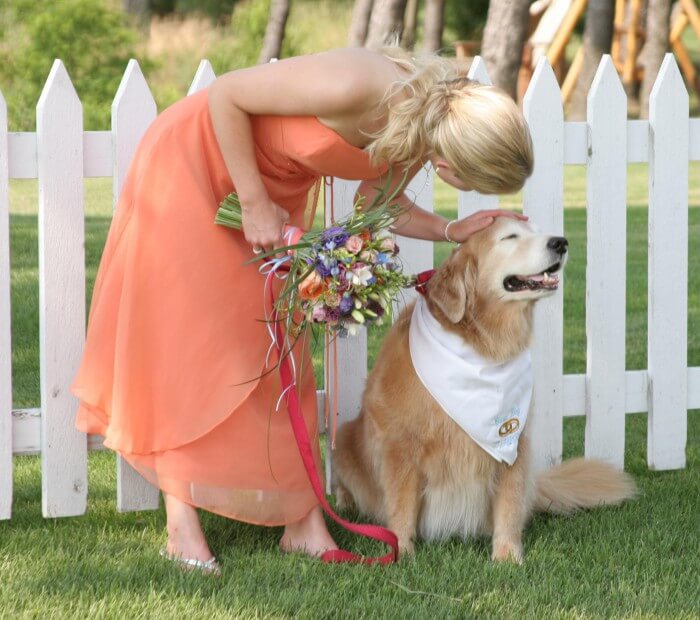 Hochzeit Hunde