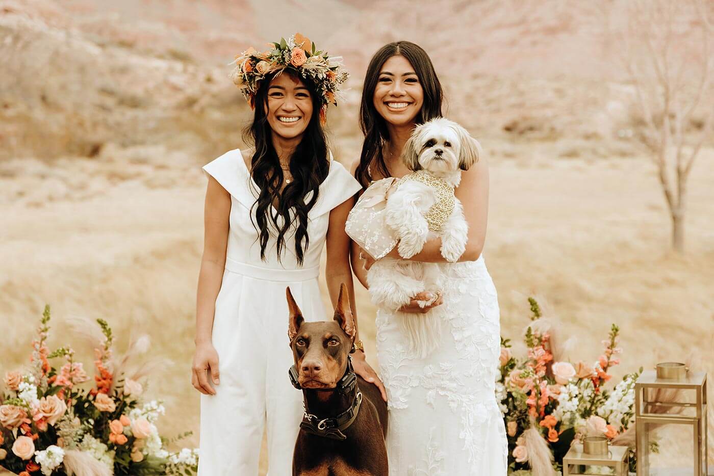 Hunde Hochzeit
