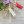 Seifenblasen zur Hochzeit Tipps, Infos & Ideen zu Wedding Bubbles