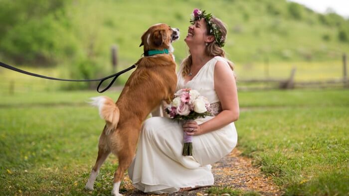 Hochzeit mit Hund