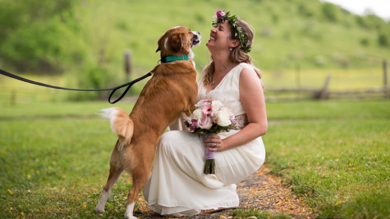 Hund zur Hochzeit Tipps & Ideen, euer Tier mit einzubeziehen