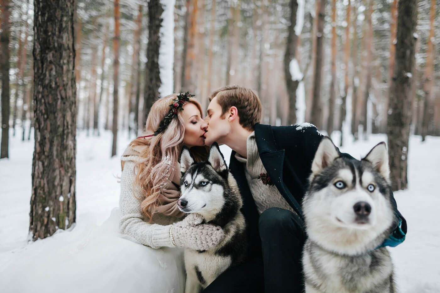 Hochzeitsfotos mit Huskies