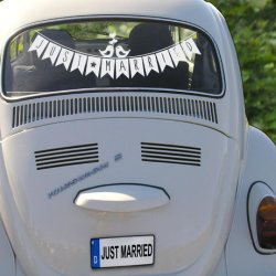 Besonderer Autoschmuck fürs Hochzeitsauto - Hochzeit Auto Aufkleber, Blumen  und Schmuck