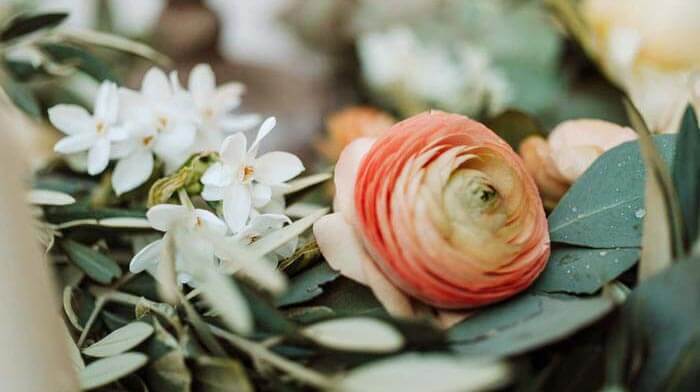 Hochzeit Blumenlexikon