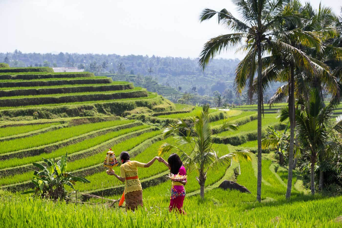 Bali Flitterwochen Erfahrungen