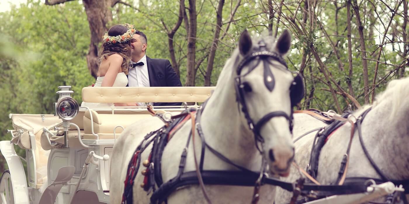 Kutscherspiel zur Hochzeit | Die komplette Geschichte kostenlos