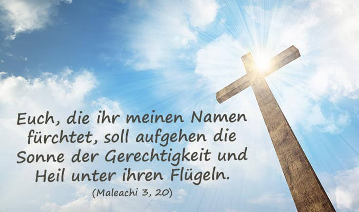 Bibelspruch Hochzeit